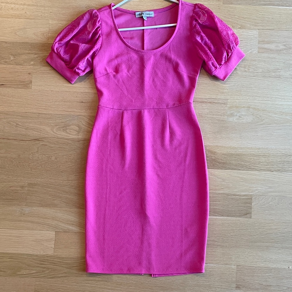 Absolutely Famous Pink Dress with Sheer floral Puff Sleeves
